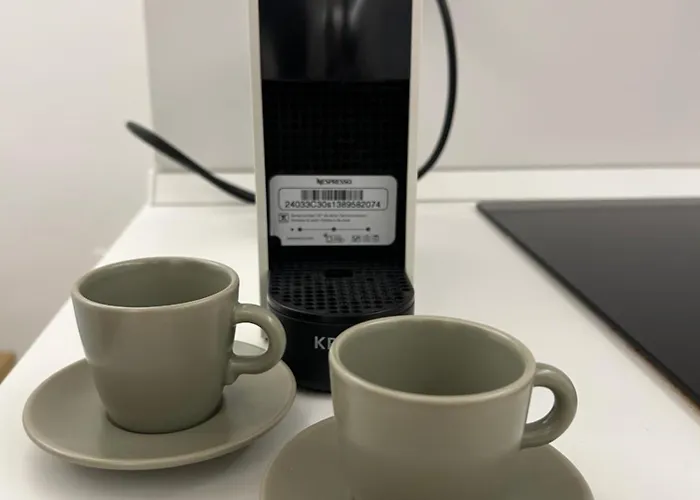 Flatminio Modern & 로마